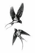 Twin Birds Harmony