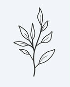 Leaf Branch