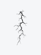 Thunder Strike